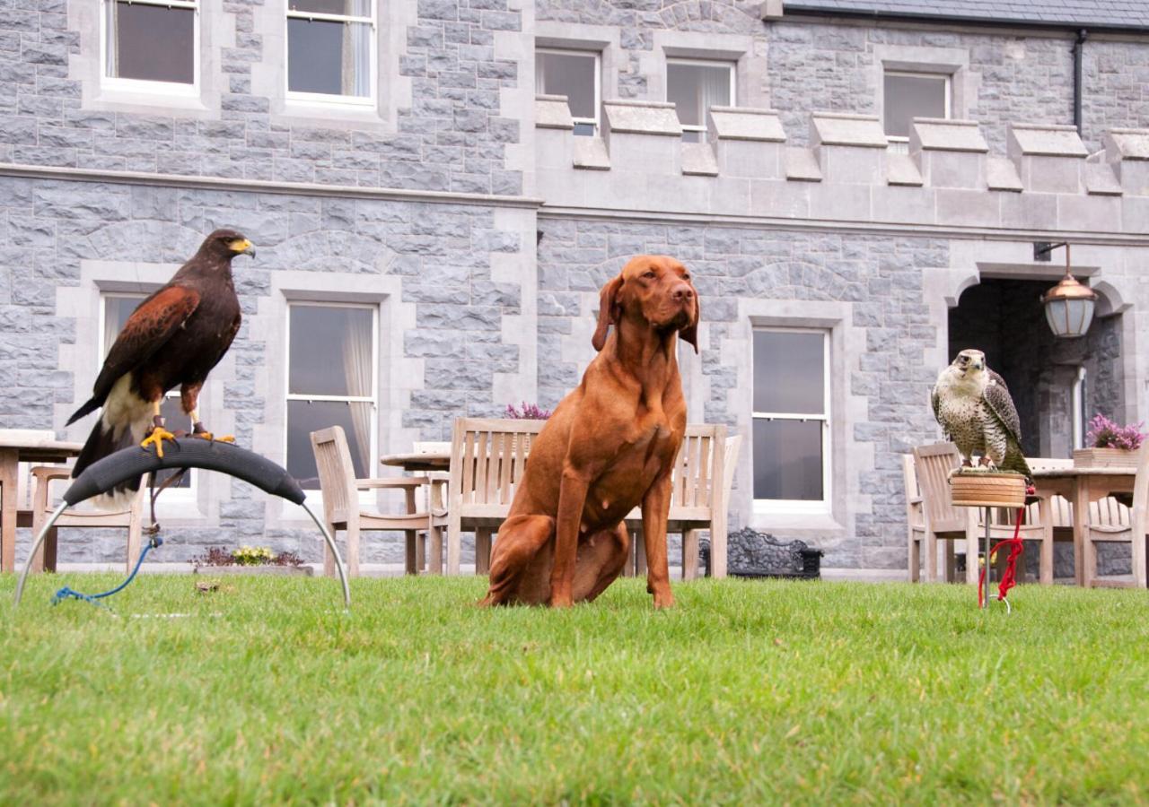 Mount Falcon Estate Ballina  Ngoại thất bức ảnh